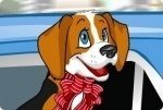 Autofahren mit Hund Autofahren mit Hund