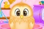Baby Eule versorgen Baby Eule versorgen