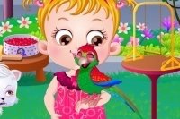 Baby Hazel Papagei Baby Hazel Papagei