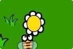 Blumenwiese Blumenwiese