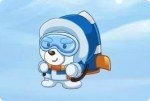 Eisbär Bob Eisbär Bob