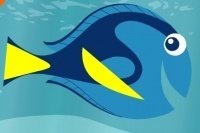 Findet Nemo Malvorlage Findet Nemo Malvorlage