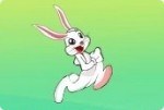 Glücklicher Hase Glücklicher Hase