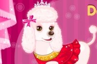 Hunde Schau Hunde Schau