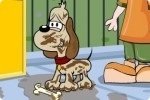 Hunde saubermachen Hunde saubermachen