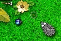 Hungriger Igel Hungriger Igel