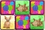 Katzen Memory Katzen Memory