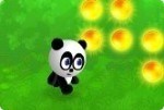 Laufender Panda Laufender Panda