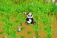 Panda Bauernhof Panda Bauernhof