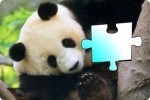 Panda Puzzle Panda Puzzle