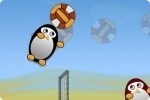 Pinguin Volleyball Pinguin Volleyball