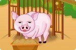 Schweinchen versorgen Schweinchen versorgen