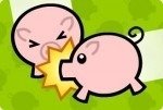 Schweine Schlamm Schweine Schlamm