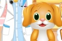Tierzahnarzt und Doktor Tierzahnarzt und Doktor