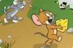 Tom und Jerry Jagd Tom und Jerry Jagd