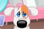 Trauriger Hund 2 Trauriger Hund 2