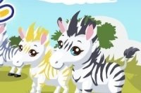 Zebra Park 2 Zebra Park 2