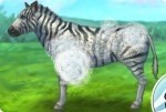 Zebra versorgen Zebra versorgen