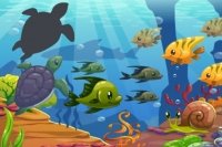 Meer Puzzle Meer Puzzle