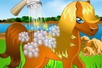 Pony Waschen